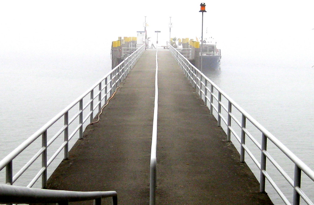 Nebel am Bodensee