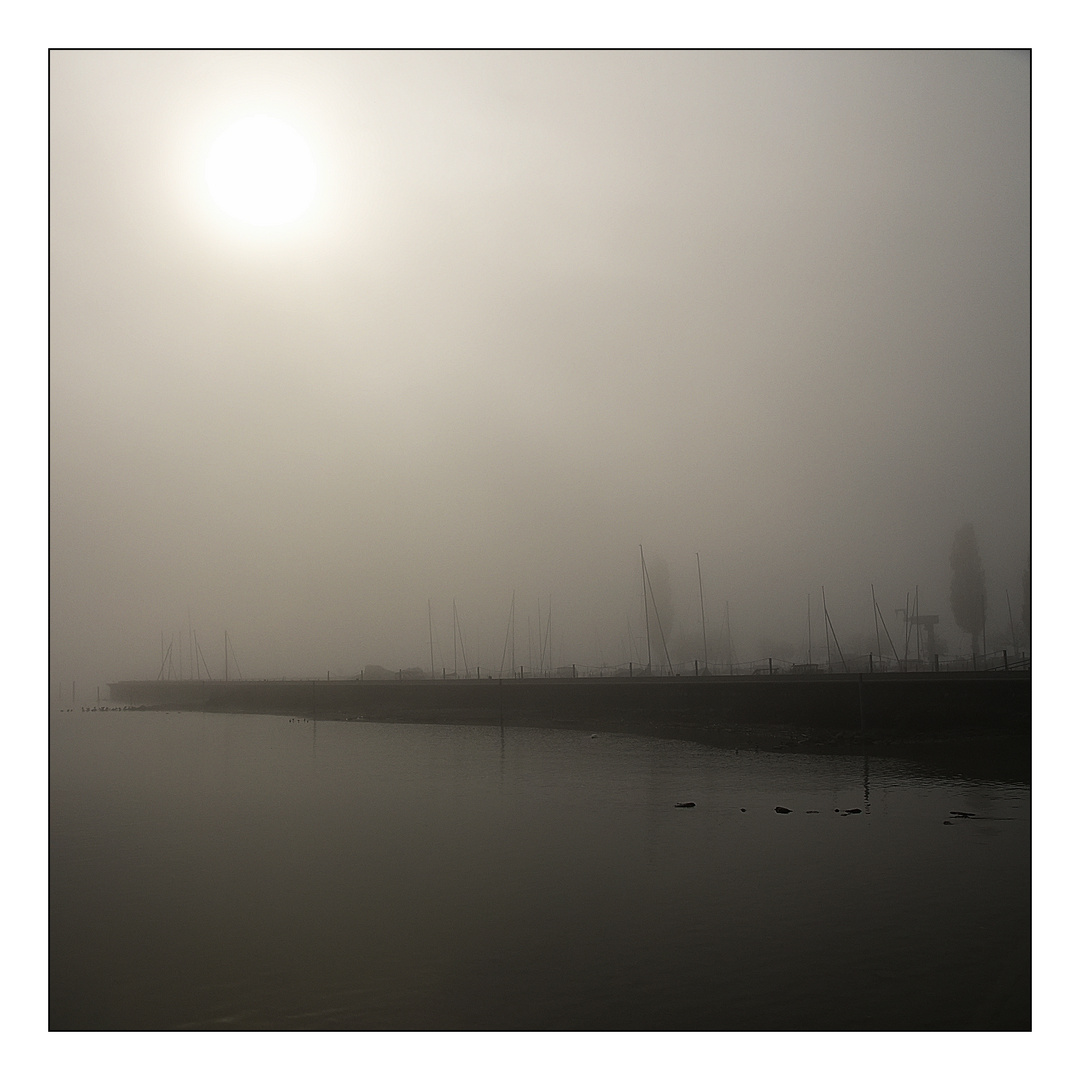 Nebel am Bodensee 2