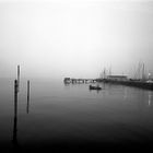 Nebel am Bodensee