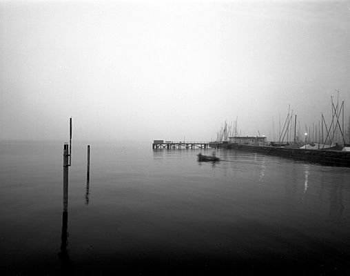 Nebel am Bodensee