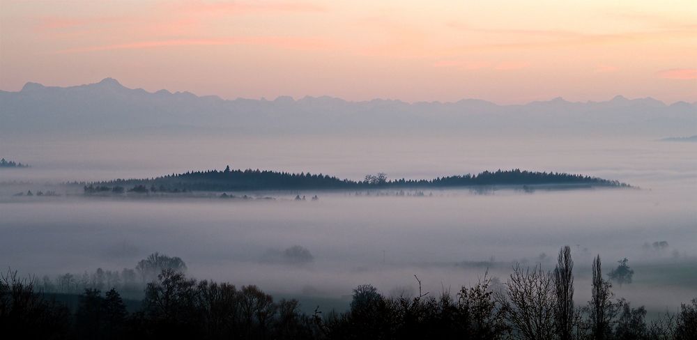 Nebel am Bodensee