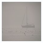 Nebel am Bodensee 5