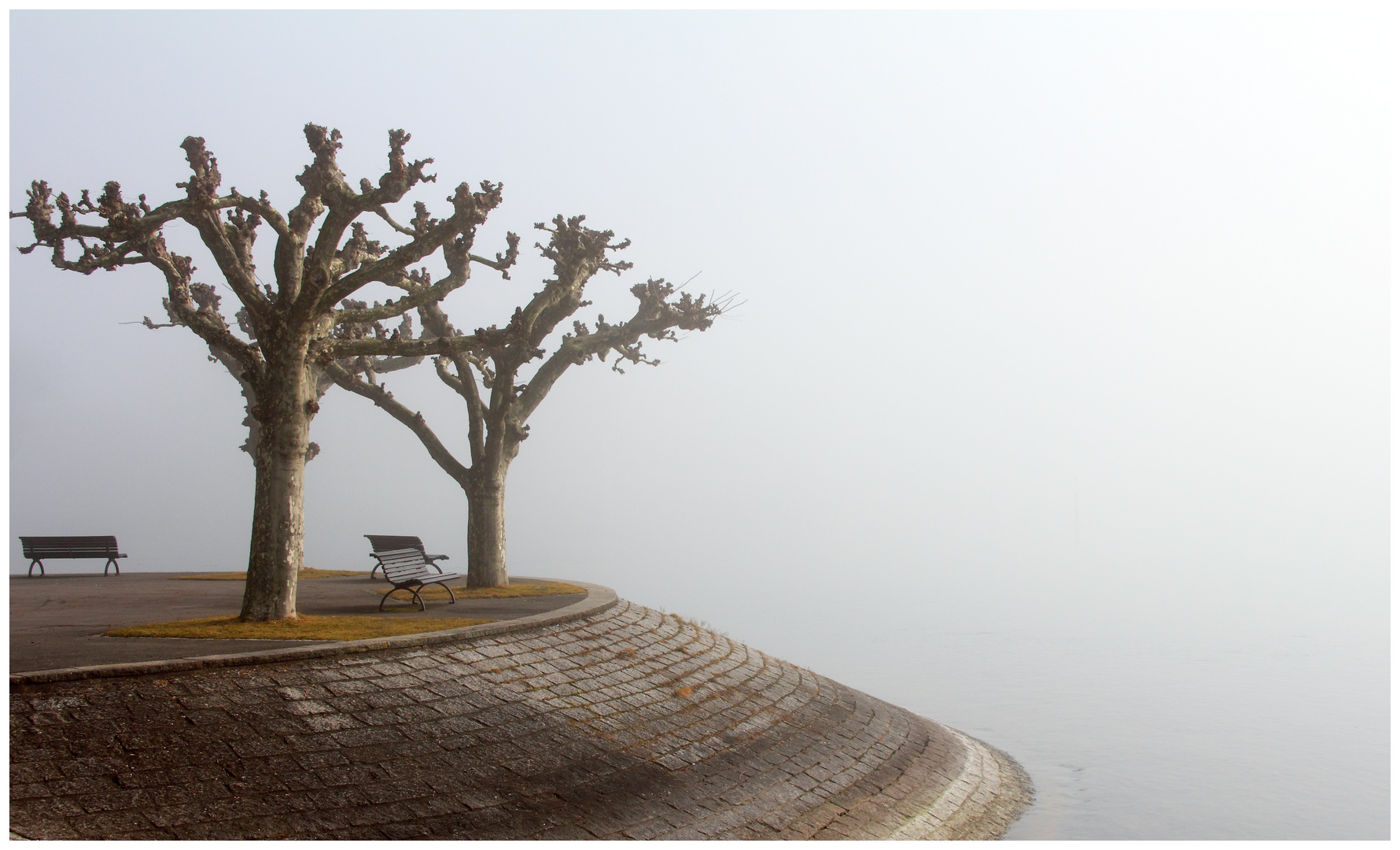 Nebel am Bodensee