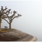 Nebel am Bodensee