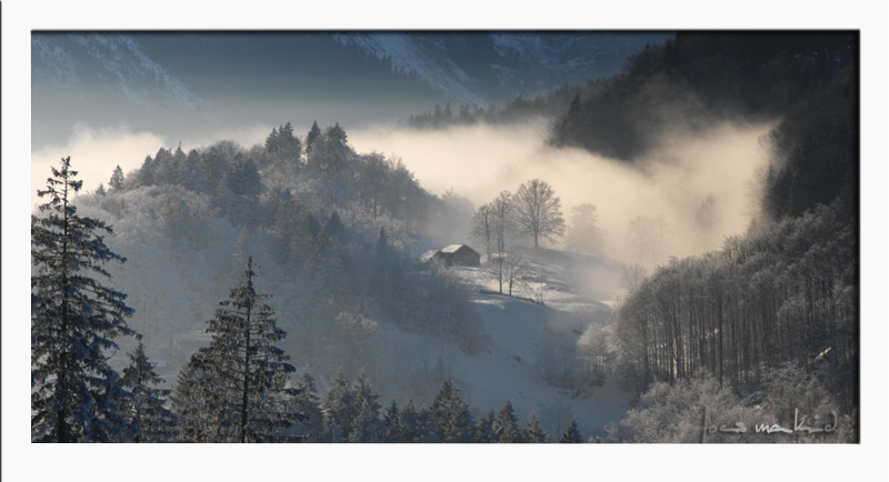 Nebel am Brünig