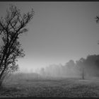 Nebel am Chatzesee