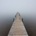 Nebel am Chiemsee