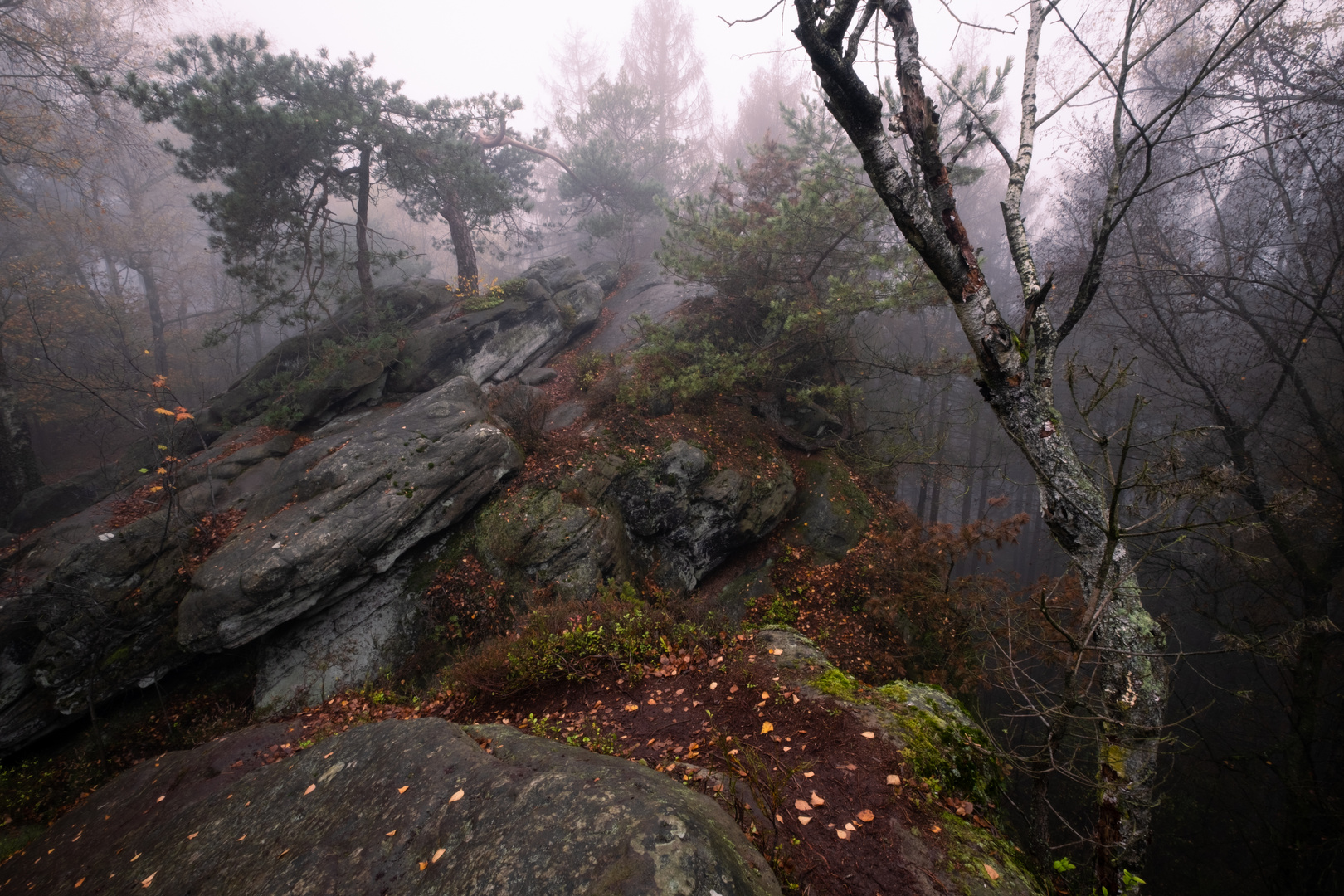 Nebel am Dörenther Klippen 