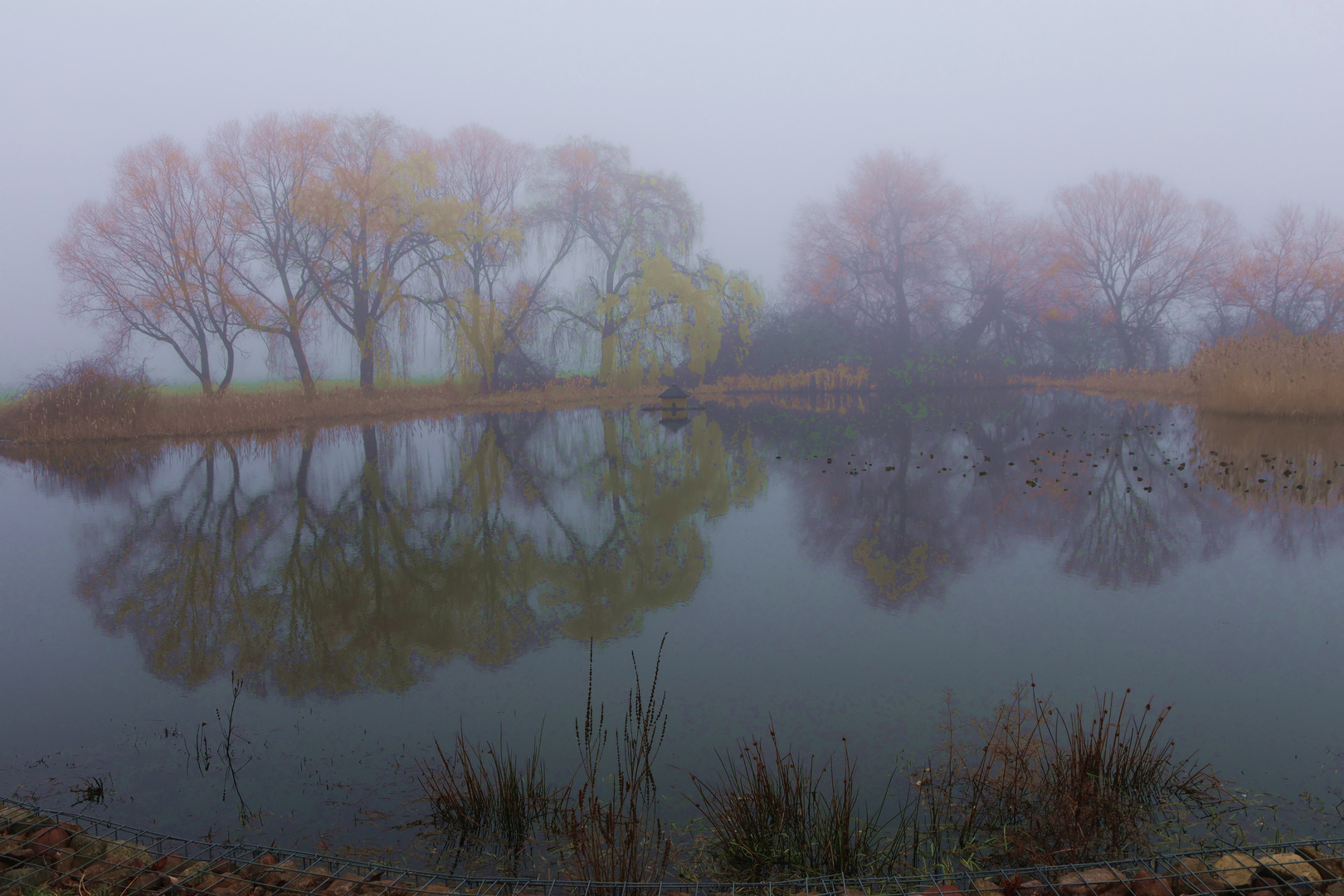 Nebel am Dorfteich in Benken