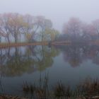 Nebel am Dorfteich in Benken