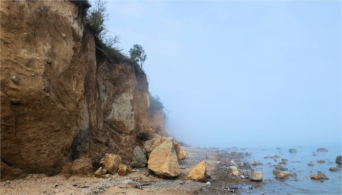 NEBEL AM DORNBUSCHKLIFF