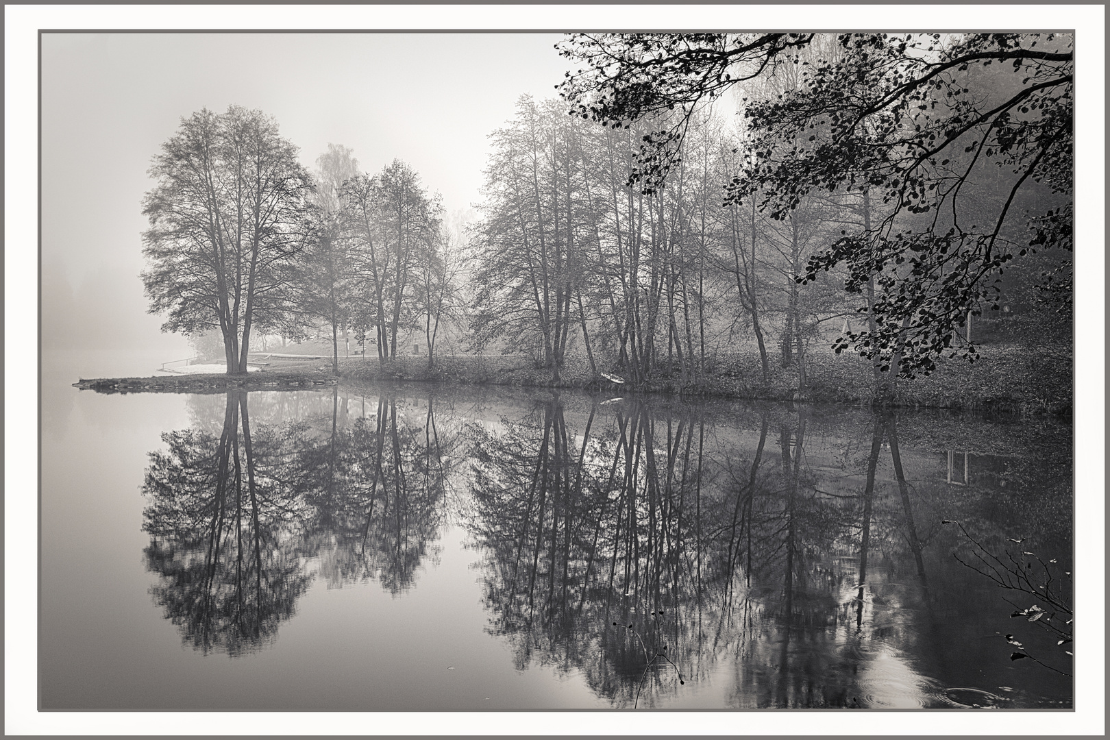 Nebel am Dreiburgensee