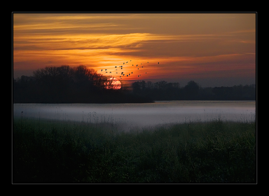 Nebel am Echinger See