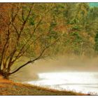 Nebel am Edersee