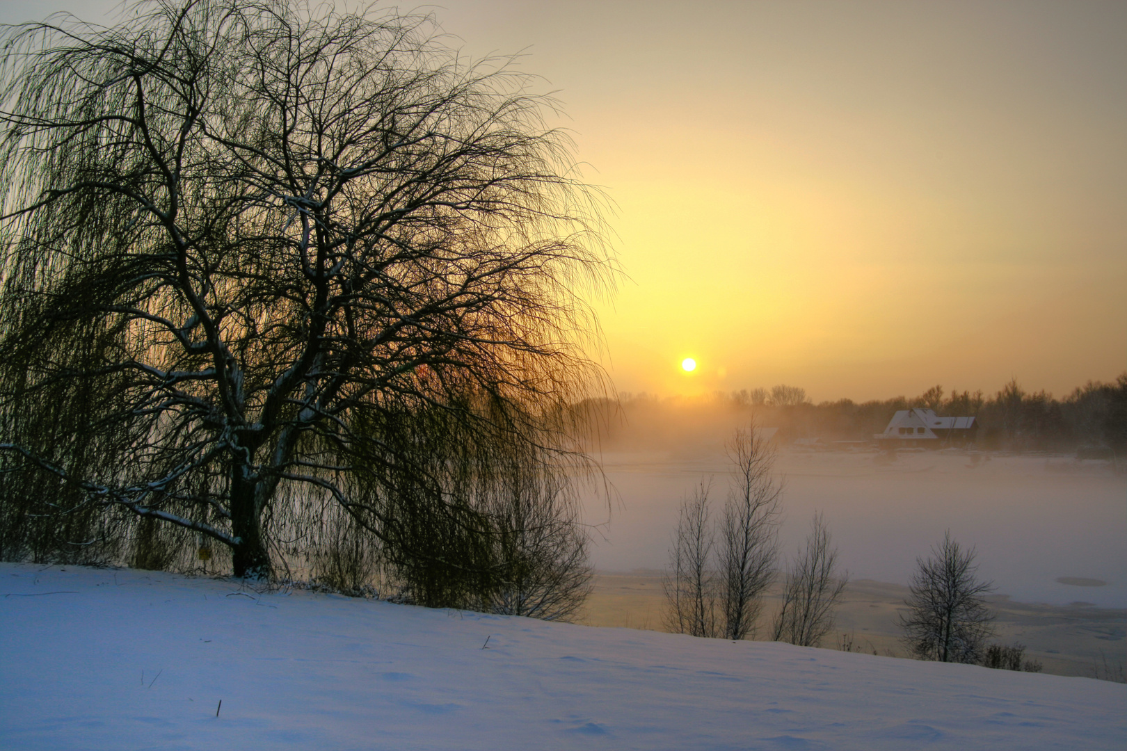 Nebel am Elfrather See