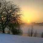 Nebel am Elfrather See