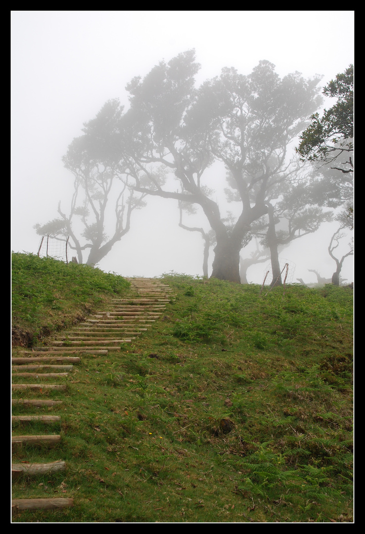 Nebel am Fanal