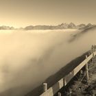 Nebel am Fellhorn