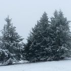 Nebel am Fichtelberg