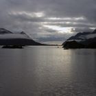 Nebel am Fjord