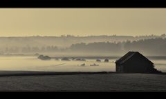 Nebel am Flugplatz