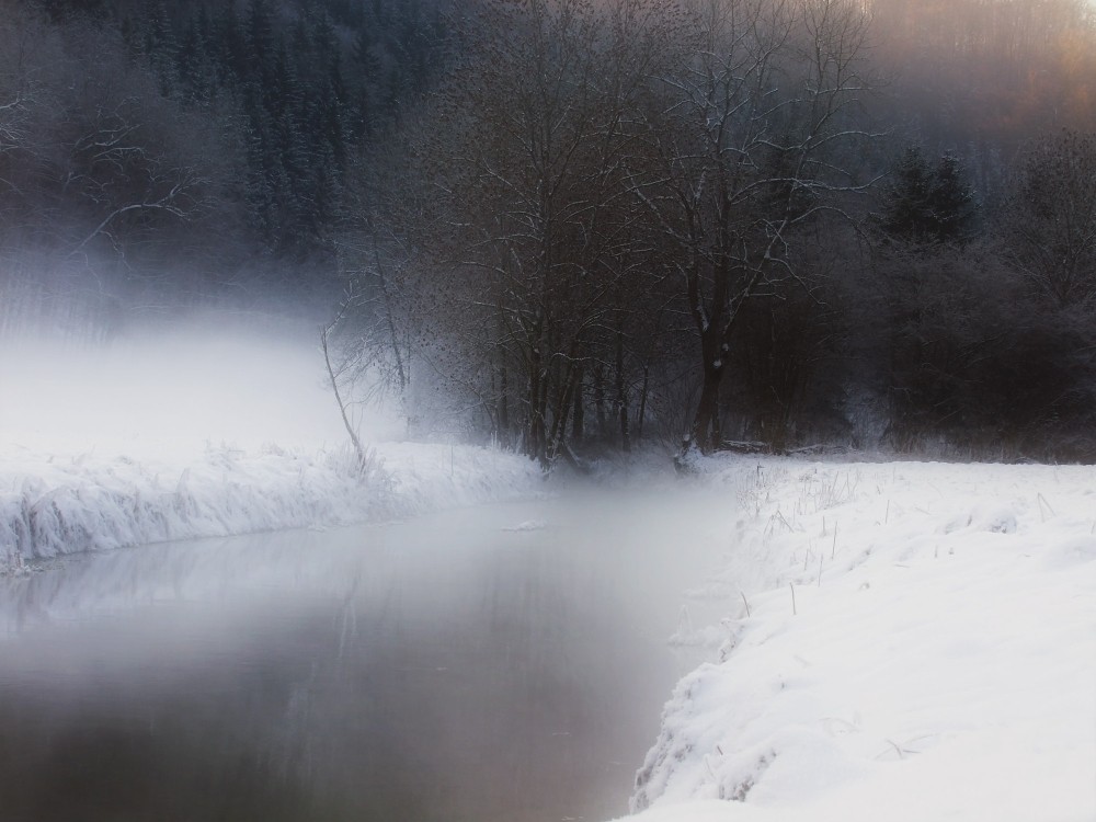 Nebel am Fluss