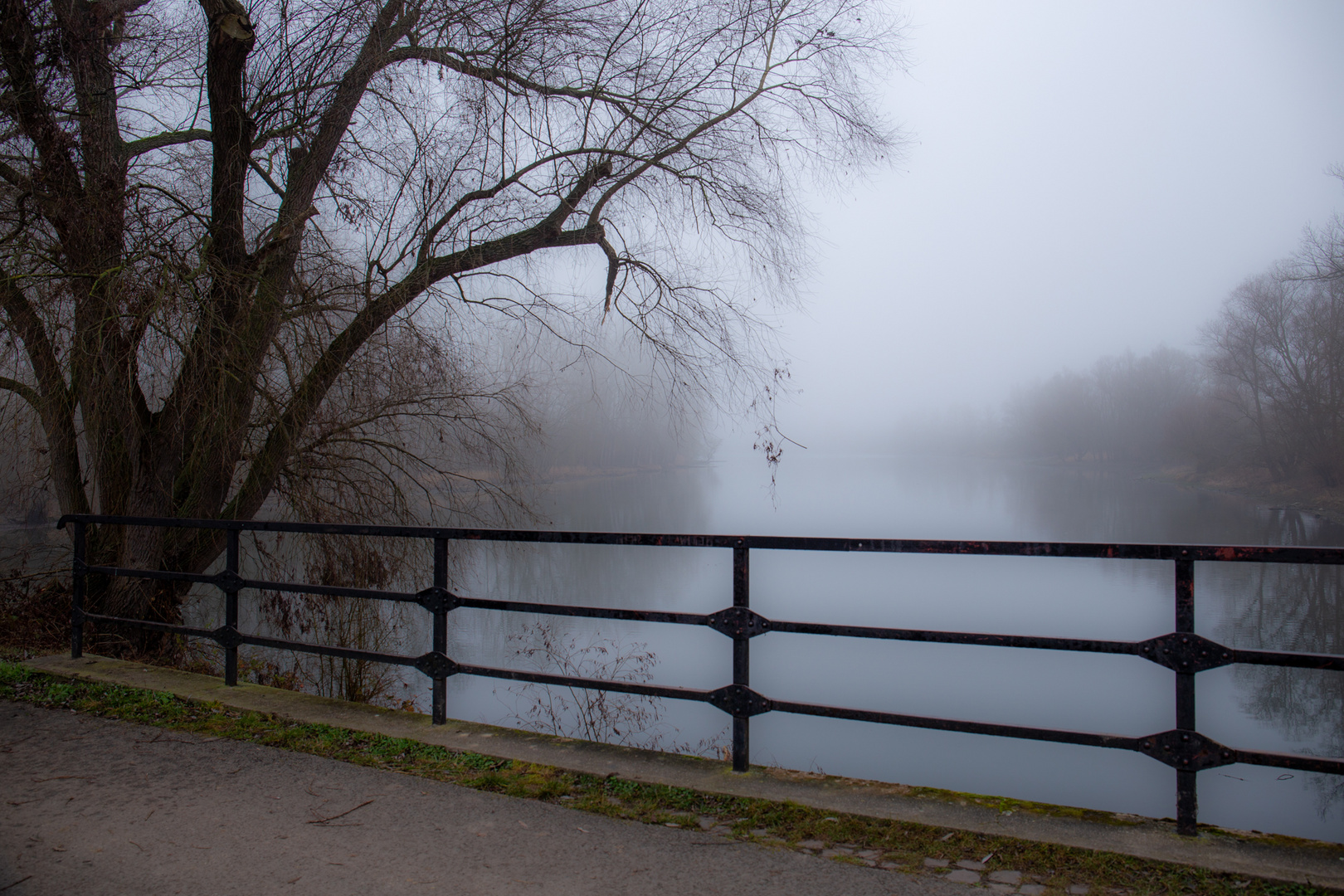 Nebel am Fluß