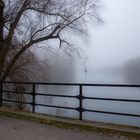 Nebel am Fluß