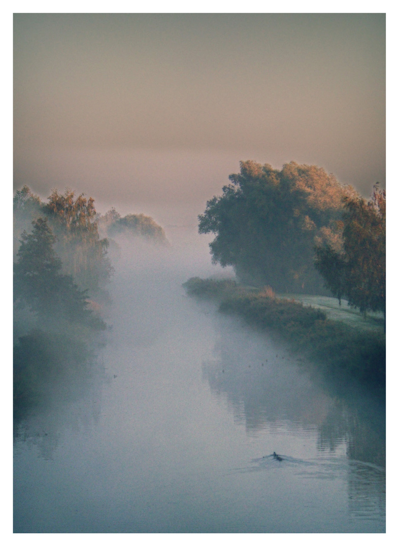 Nebel am Fluss