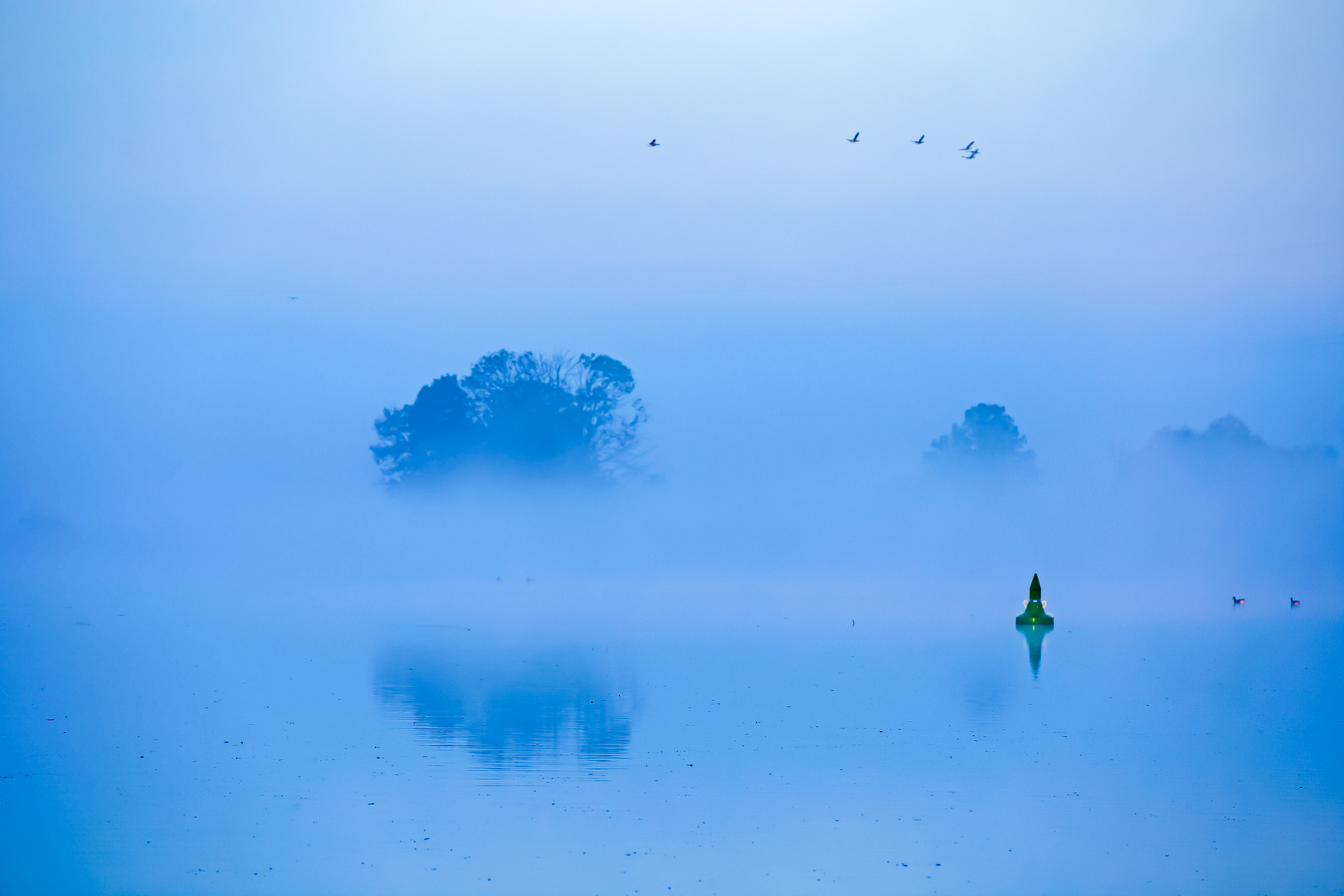 Nebel am Fluss 