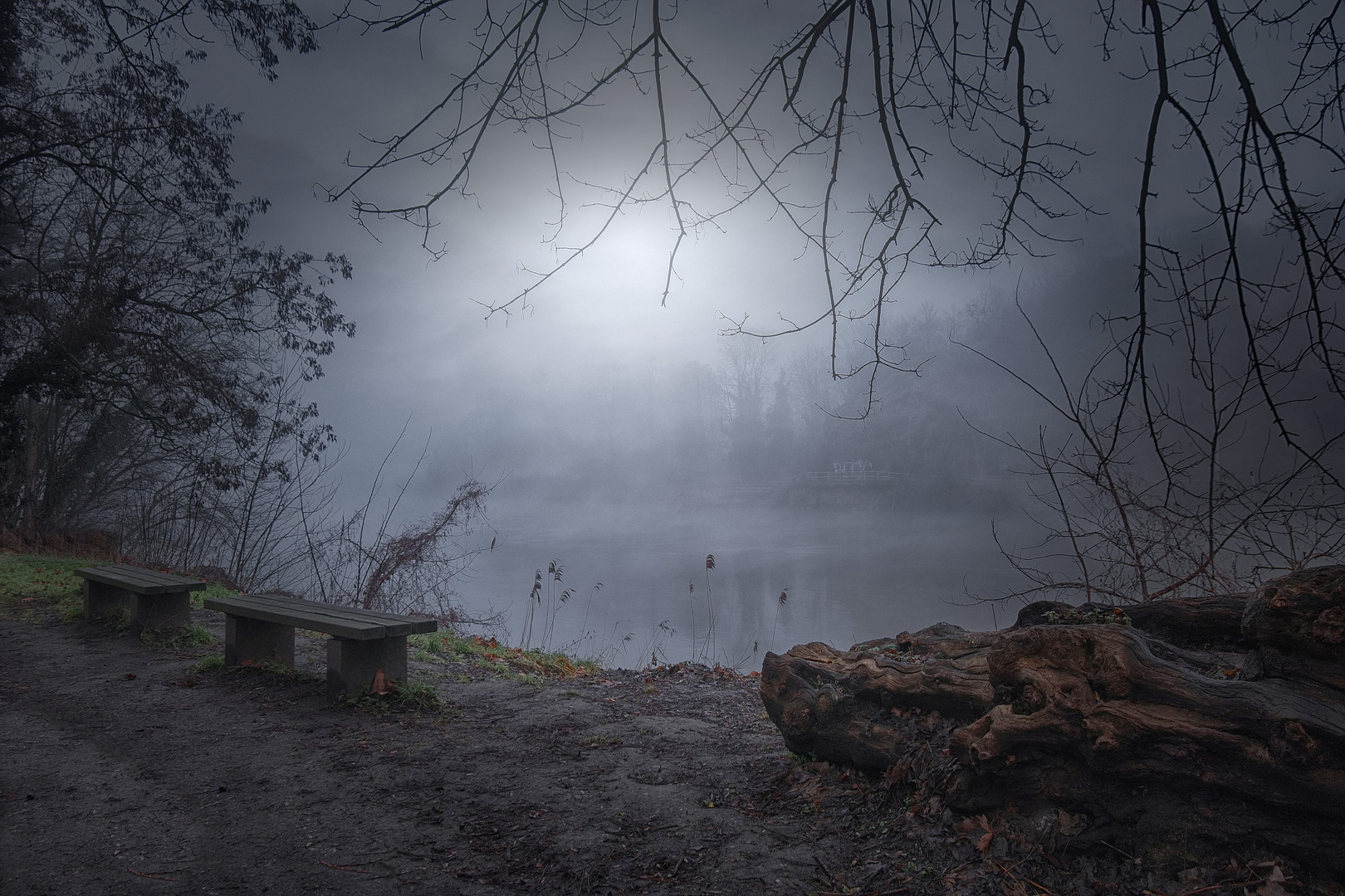 Nebel am Fluß