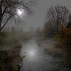 Nebel am Fluss