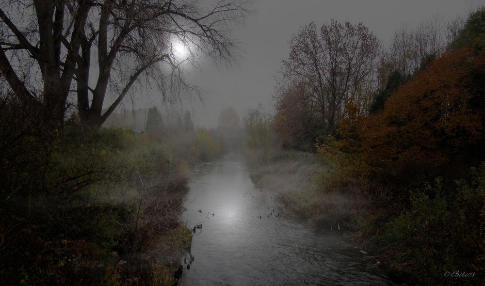 Nebel am Fluss