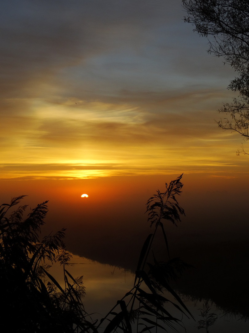 Nebel am Fluss