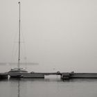 Nebel am Freizeitsee in Monochrome-Bearbeitung.