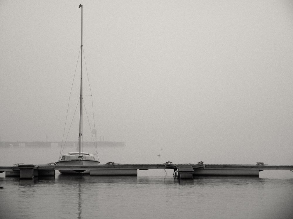 Nebel am Freizeitsee in Monochrome-Bearbeitung.