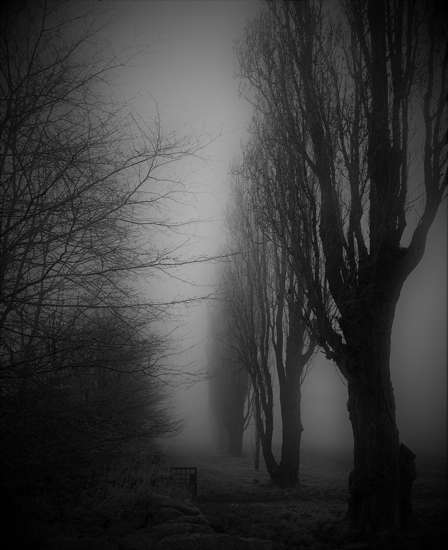 Nebel am Friedhof