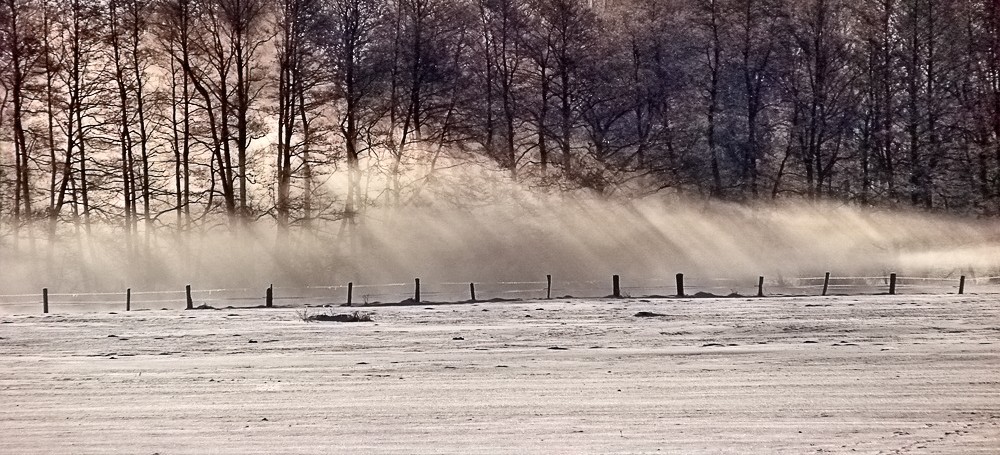 Nebel am frühen Morgen