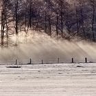 Nebel am frühen Morgen