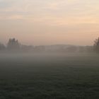 Nebel am frühen Morgen