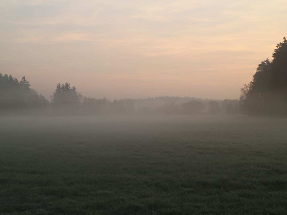 Nebel am frühen Morgen