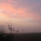 nebel am frühen morgen