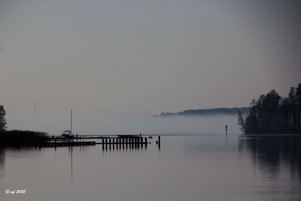 Nebel am frühen Morgen