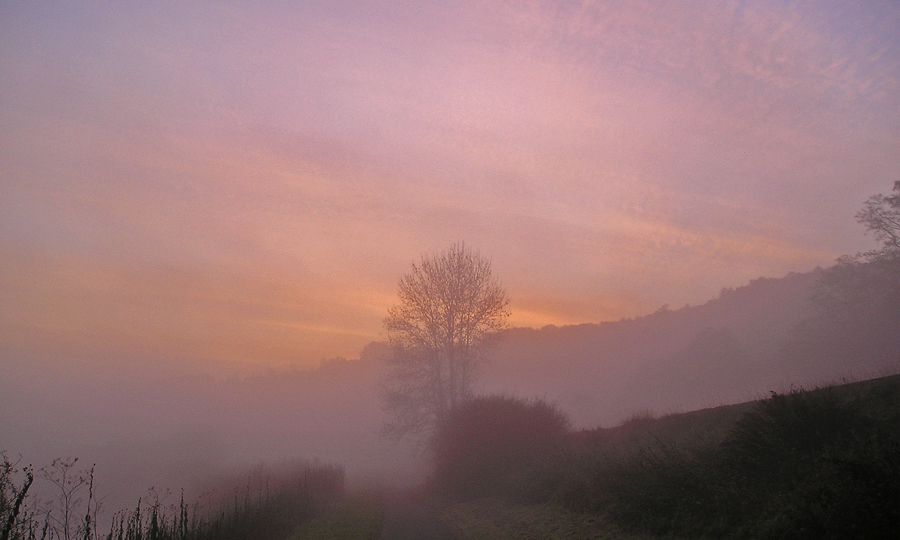 Nebel am frühen Morgen