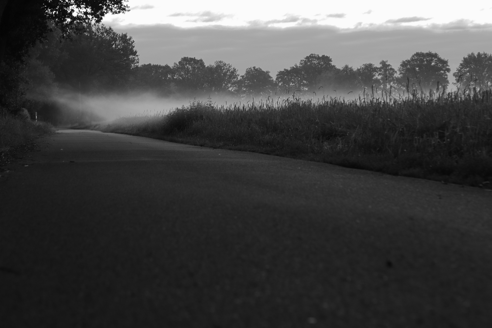 Nebel am frühen Morgen