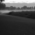 Nebel am frühen Morgen