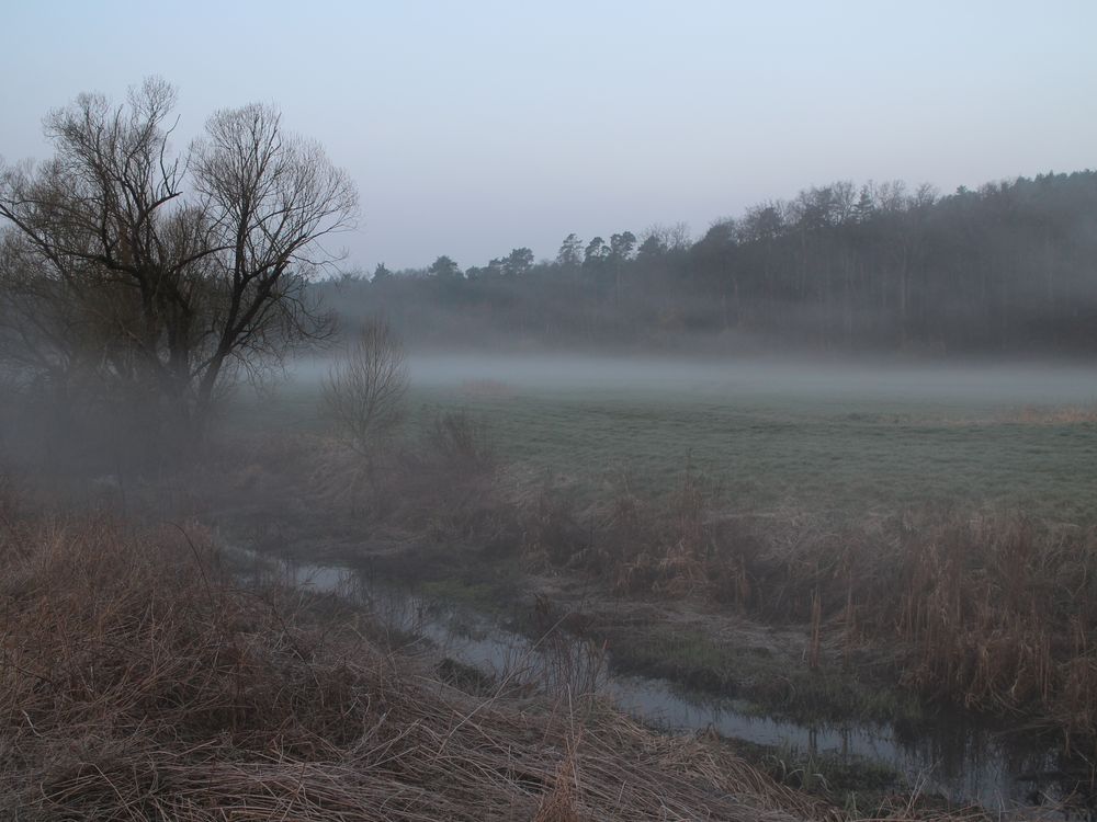 Nebel am frühen Morgen