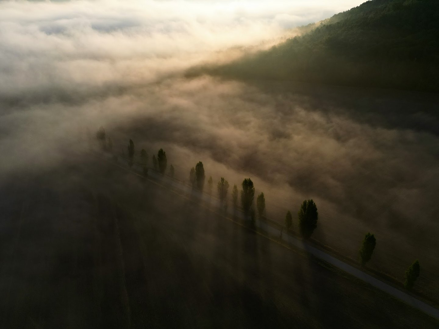 Nebel am Fuße des Berges