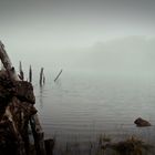 Nebel am Fuße des Picos