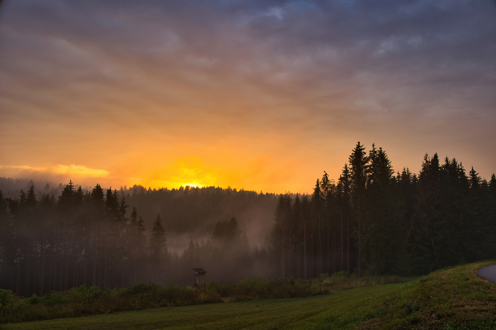 Nebel am Götzenbachsee